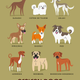 Illustration for article titled Adorable Drawings of Dog Breeds, Grouped By Their Place of Origin